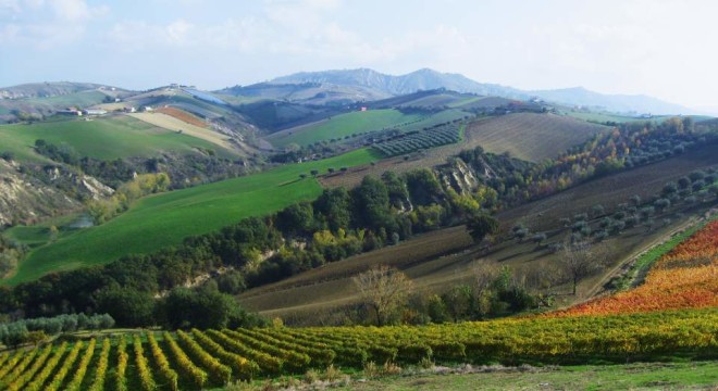 Região de vinhos |Abruzzo - Itália