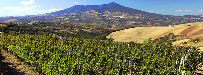 Vinhos da Basilicata - Aglianico del Vulture