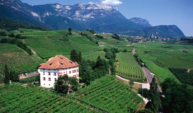 Imagem da estrada do vinho do Alto Adige na Itália