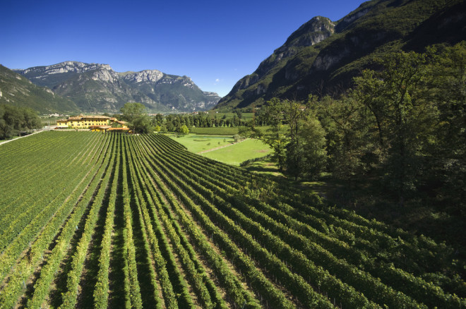 Vinhos premiados do Trentino no Gambero Rosso