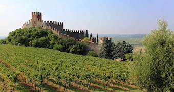 Vinhos de Soave - Veneto - Itália