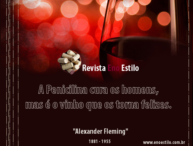 Revista Eno Estilo | Boas Frases do Vinho - O vinho cria o momento?|  Revista Eno Estilo