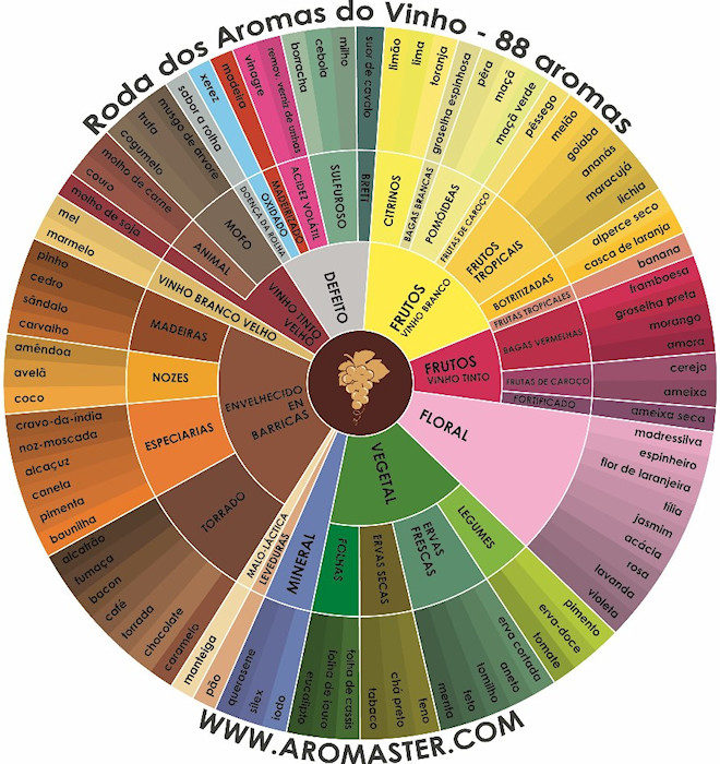 Roda-dos-Aromas-do-Vinho-660